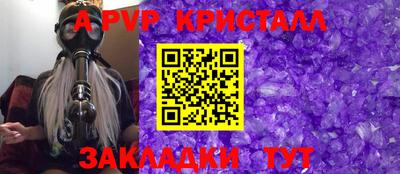 спиды Новодвинск