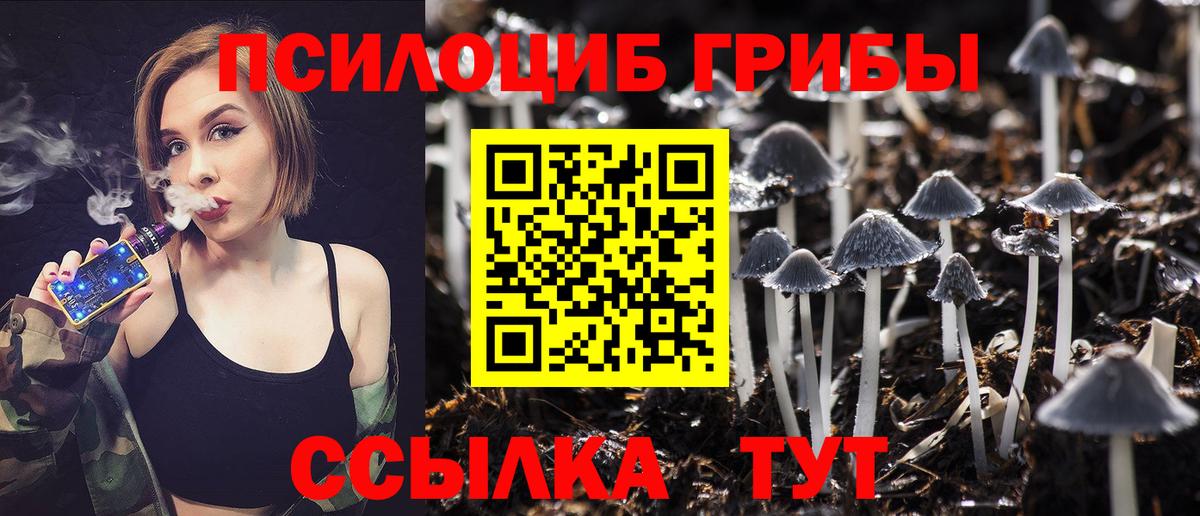 Свободный  Галлюциногенные грибы Psilocybine cubensis  Вход с VPN 