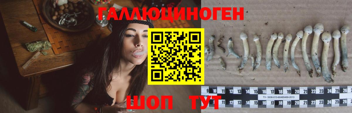 Псилоцибиновые грибы мухоморы Свободный